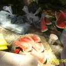 아사달목장 이미지