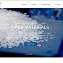 레이크인 이미지