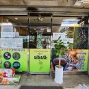 강원도산야초건강원 | 인천건강원 야초명가 도담도담 여생 갱년기에 좋은 칡즙 구매