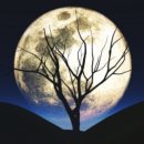 moon trading 네이버블로그