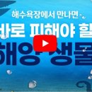 날씨 그리고 맹독 해양생물 조심조심 이미지