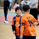 청양공설운동장 이미지