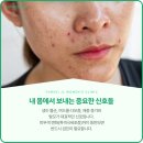 보라매동-35 이미지