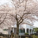 장전리마을회관 이미지