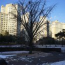 품안뜰근린공원 이미지