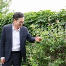 인동초등학교 이미지