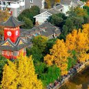 가을에 쓰촨에서 방문하기 가장 좋은 장소 이미지