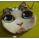 꿈이크는 동물병원 이미지