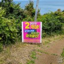 제주올레광고 이미지