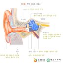 아주맑은이비인후과의원 이미지