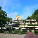 뉴금강게임장 | 대구 아이와 가볼만한곳 이월드 동물원 버드파크 주주팜 어드벤처광장 놀이동산