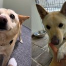 팅커벨하우스 이미지