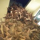 조록나무 뿌리 형상물 이미지