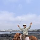 금명목장 | 제주도 서쪽 한경면 승마체험: 신창풍차 행복승마 후기