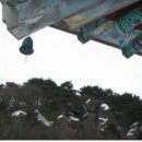 정천 이미지