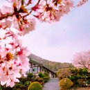 희망밥집 이미지