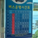 금산서울팬션민박 | [통영 3박 4일] 뚜벅이로 욕지도에서 살아남기(욕지도 스노클링 스팟 마을버스로 돌기)