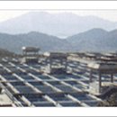 상수도 신설공사