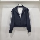 행텐주니어 이미지