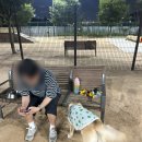 성밖회수산 이미지