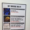 워시팡팡무인셀프빨래방수원 - 563 | 워시팡팡무인셀프빨래방수원