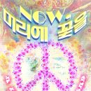 머리에꽃을 이미지