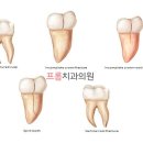 프롬치과의원 이미지