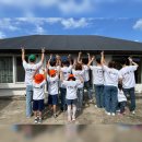 금성 담쟁이 이미지