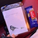 [녹색연합] 🐤새 충돌 방지 스티커 붙이기 봉사활동 후기, 준비물, 꿀팁🍯 (#새친구 10기 #모니터링)