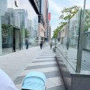 애플워치 11 로즈골드 구매 후기 나이키 스포츠 밴드 조합과 애플 강남 방문기