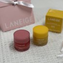 망고베리 | 라네즈 립 슬리핑 마스크 비교 / 베리 &amp; 망고 / 카카오톡 선물하기 가격, 후기, 질감 비교