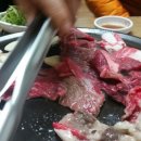 조은집애 한우 이미지