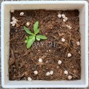 원호상사 이미지