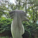 동심으로의 회귀 이미지