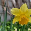 칠성로2길-4 이미지