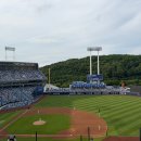 역전세탁소 | [삼성라팍] 6/3 삼성vsNC 직관후기 1루 스카이상단지정석 U-4구역 7열 통로 시야(설빙)