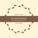 사랑의 노래 | [Rx. 161] 로맨틱 클래식 추천: 슈베르트 '세레나데', 밤에 듣는 사랑의 노래 (가곡의 왕)