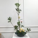 동양꽃꽂이 | [서울 론다플라워 아카데미] 화훼장식기능사반 – 동양꽃꽂이 수업 후기