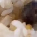 대학식당 이미지