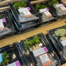 능주농협로컬푸드복합문화센터 이미지