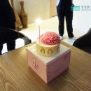 정성훈성형외과 네이버블로그