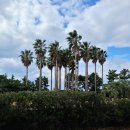 하늘오름마실 이미지