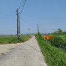 옥산리농로 이미지