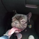 전덕배농장 이미지