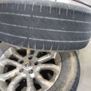 부강스포츠 이미지