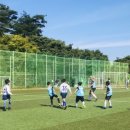 황성공원 축구공원 4구장 이미지