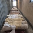 성진자원 이미지