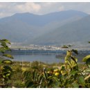 바라농장 이미지