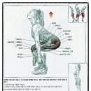 win피트니스 이미지