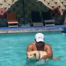 클럽더독스 이미지